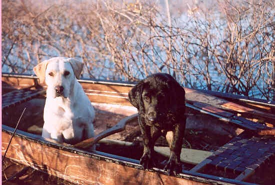 Ai & Roo hunting 04.jpg
